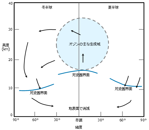 第1章 図9 成層圏と対流圏における大気の流れによるオゾンの輸送